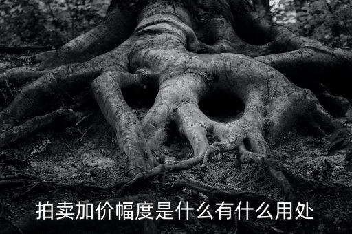 什么是加碼幅度，貸款利率定價(jià)方式中加點(diǎn)幅度是什么意思