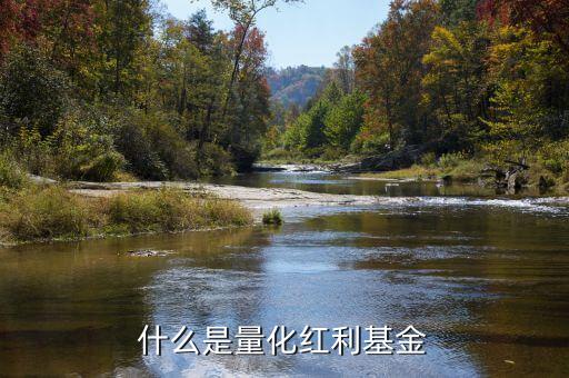 量化基金是什么，什么是量化基金