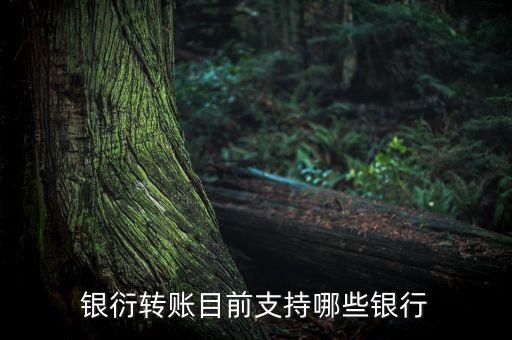 銀衍轉(zhuǎn)賬是什么，銀衍轉(zhuǎn)賬目前支持哪些銀行