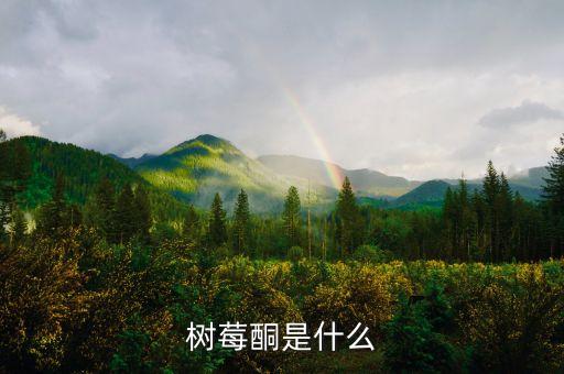 伯爾定是什么，從學(xué)理上分析是什么意思