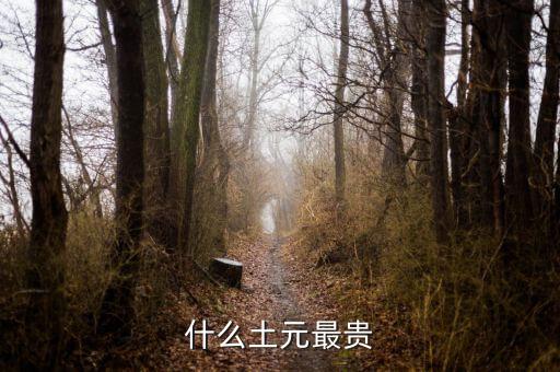 什么稀土最貴，稀土哪種元素最貴