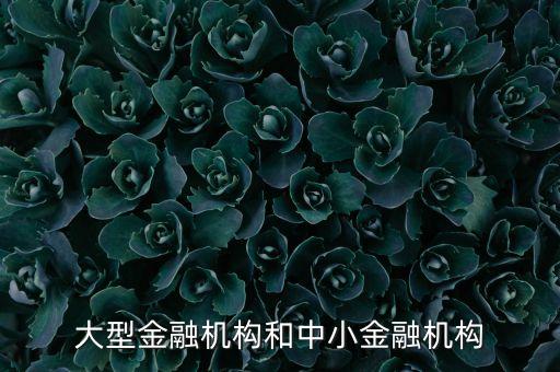 什么是中小金融機(jī)構(gòu)，大型金融機(jī)構(gòu)和中小金融機(jī)構(gòu)