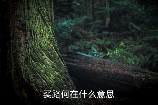 買路何在什么意思
