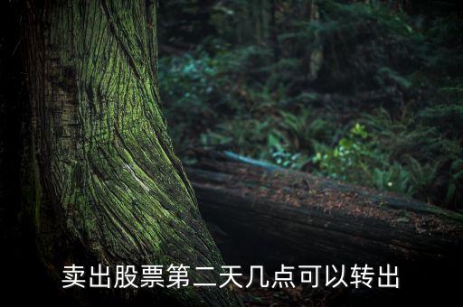 股票賣(mài)了錢(qián)什么時(shí)候可以轉(zhuǎn)出，股票成功賣(mài)出后多長(zhǎng)時(shí)間可以從帳戶轉(zhuǎn)出資金