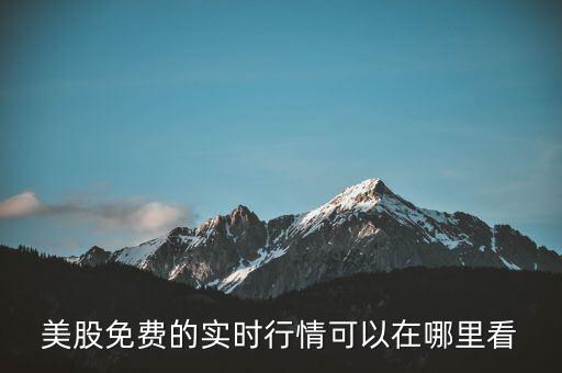 什么軟件看美股無延遲，什么軟件可以看美國的股票行情