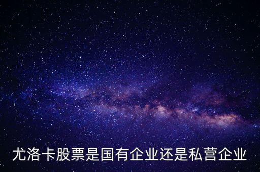 尤洛卡股票是國(guó)有企業(yè)還是私營(yíng)企業(yè)
