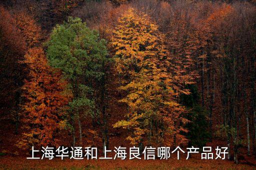 上海良信生產(chǎn)什么，上海人民開關(guān)廠賣什么