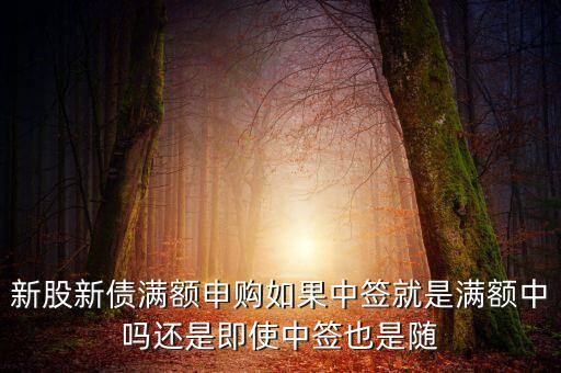 滿(mǎn)額申購(gòu)什么意思，滬市滿(mǎn)額打新是什么意思