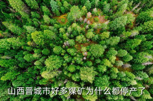 為什么礦山現(xiàn)在停產(chǎn)，為什么現(xiàn)在的礦業(yè)幾乎全部停產(chǎn)