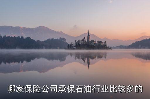石油公司買什么保險(xiǎn)，哪家保險(xiǎn)公司承保石油行業(yè)比較多的