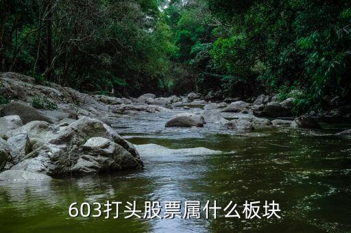 601608屬于什么板塊，600618屬于什么板塊