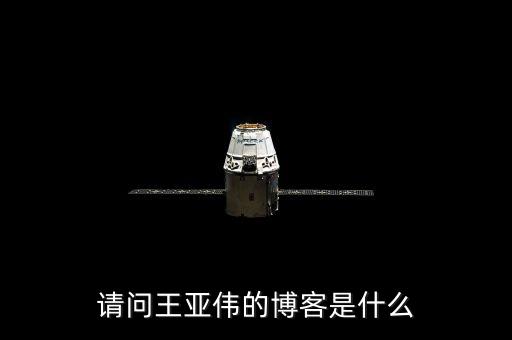 請問王亞偉的博客是什么
