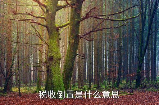 稅負(fù)倒置是什么意思，稅收倒置是什么意思