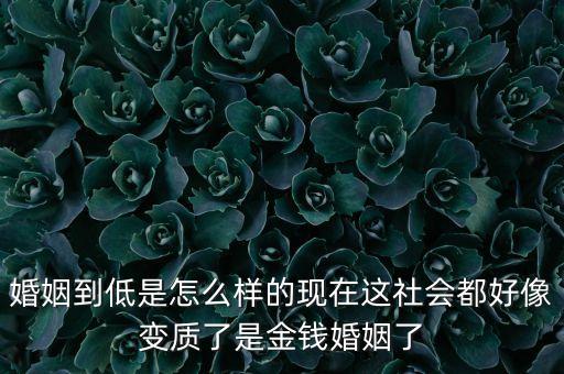 重慶聘禮為什么是0，重慶聘禮為什么是0