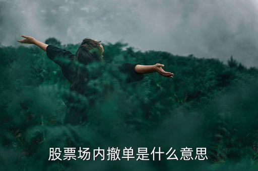 股票場(chǎng)內(nèi)撤單是什么意思