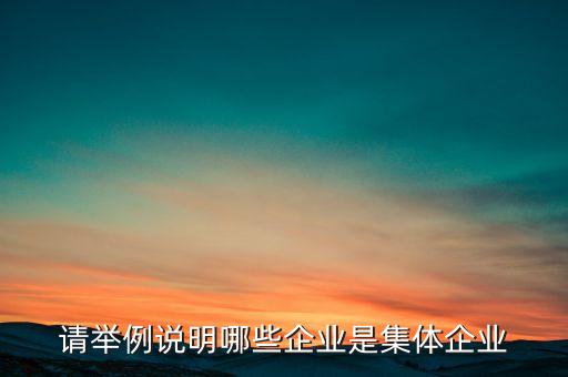 請(qǐng)舉例說明哪些企業(yè)是集體企業(yè)