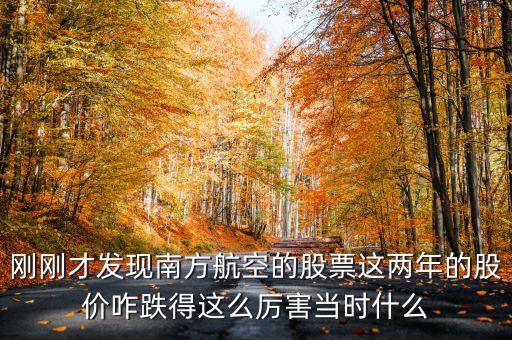 南航美股是什么意識(shí)，海南航空股票前帶lr300什么意思
