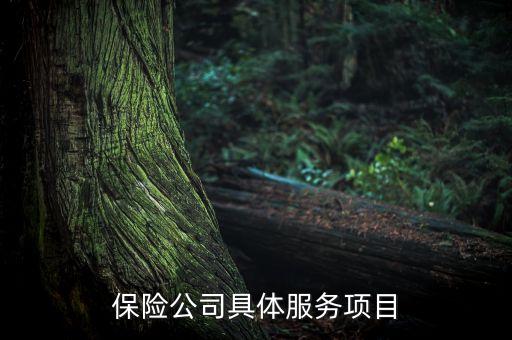 保險(xiǎn)公司具體服務(wù)項(xiàng)目