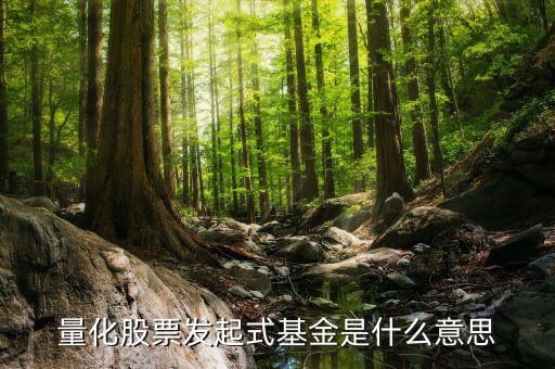 股票量化是什么意思，股份量化是什么意思