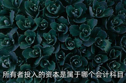 所有者投入資本是什么，所有者投入的資本是所有者權(quán)益