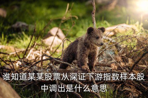 調(diào)出指數(shù)什么意思，調(diào)出深證成份指數(shù)是什么意思