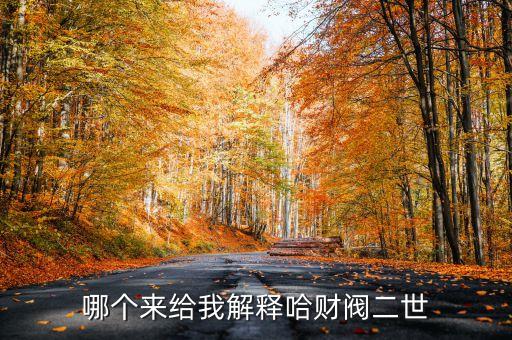 哪個來給我解釋哈財閥二世