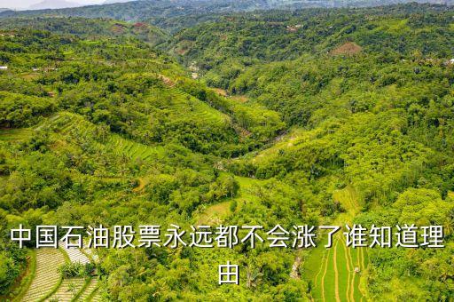 中國(guó)石油為什么套牢，中石油什么把中國(guó)股民都套牢