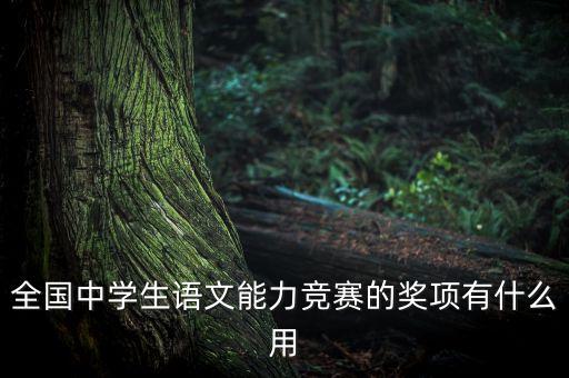全國中學生語文能力競賽的獎項有什么用