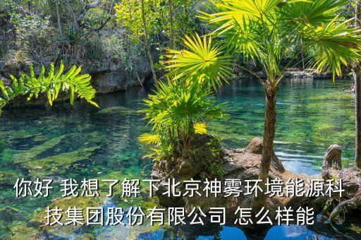 北京神霧什么時(shí)候上市，你好 我想了解下北京神霧環(huán)境能源科技集團(tuán)股份有限公司 怎么樣能