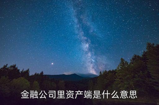 金融公司里資產(chǎn)端是什么意思