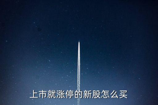 002715什么時候上市，次新股漲停板買入技巧