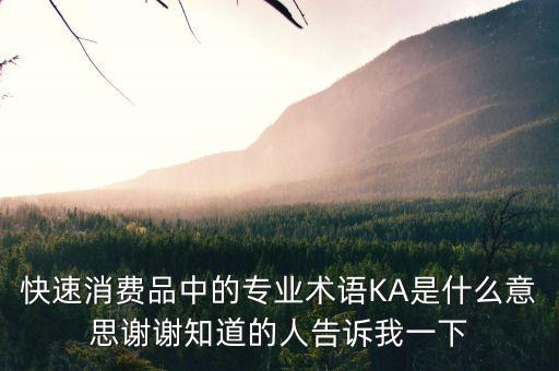 快速消費品中的專業(yè)術(shù)語KA是什么意思謝謝知道的人告訴我一下