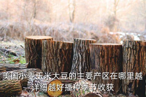 是美國什么和什么的主產(chǎn)區(qū)，美國小麥玉米大豆的主要產(chǎn)區(qū)在哪里越詳細越好播種季節(jié)收獲