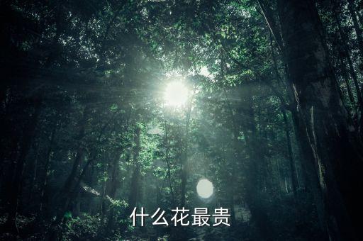 什么花較貴，什么花最貴