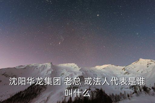 沈陽華龍集團 老總 或法人代表是誰叫什么