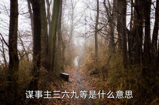 謀事主三六九等是什么意思