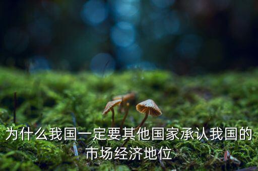 中國經(jīng)濟(jì)地位為什么重要，國有經(jīng)濟(jì)的地位和作用是怎樣的
