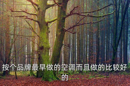 按個品牌最早做的空調而且做的比較好的