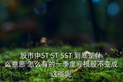 st銀山是什么公司，數(shù)量單位用st表示是什么意思