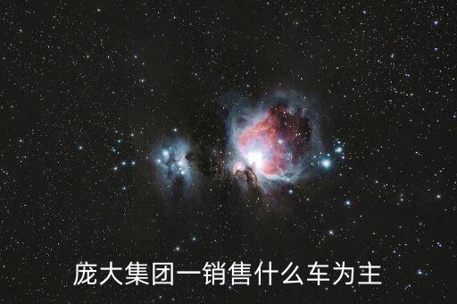 龐大集團(tuán)一銷(xiāo)售什么車(chē)為主