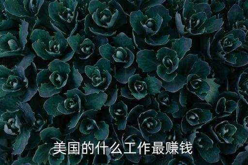 美國的什么工作最賺錢