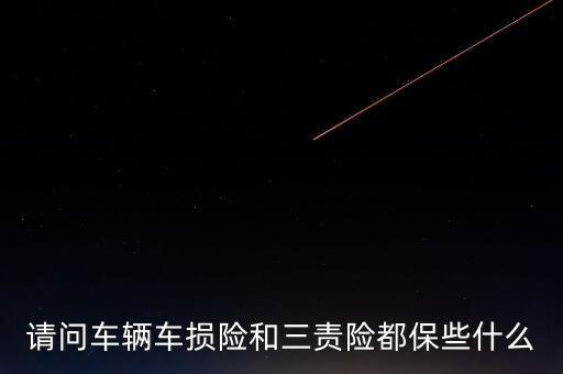 請(qǐng)問(wèn)車(chē)輛車(chē)損險(xiǎn)和三責(zé)險(xiǎn)都保些什么