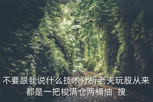 不要跟我說什么技術(shù)分析老夫玩股從來都是一把梭滿倉兩桶油  搜