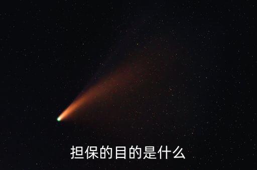 為什么要擔保，擔保的目的是什么