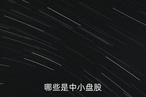 哪些是中小盤股