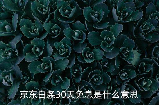京東30天免息什么意思，京東商城網(wǎng)上買鞋子有增值保障是什么意思有什么30天免息又是17
