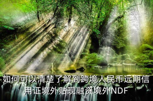 如何可以清楚了解到跨境人民幣遠期信用證境外貼現(xiàn)融資境外NDF