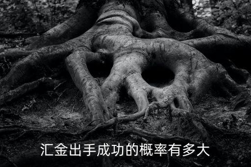 匯金什么時(shí)候增持，匯金出手成功的概率有多大