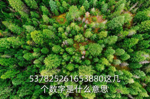 026869數(shù)字代表什么寓意，電話號碼各個數(shù)字表示的意義