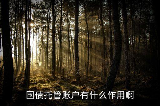 國(guó)債托管賬戶有什么作用啊